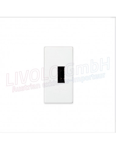 Livolo USB Ladesteckdose
 Farbe-Weiß