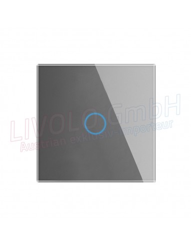 Kombination Livolo Touch Ausschalter mit Glass Rahmen, Silber, 1gang