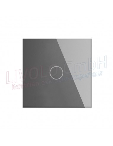 Livolo Glass Rahmen für Livolo Schalter
 Farbe-Silber